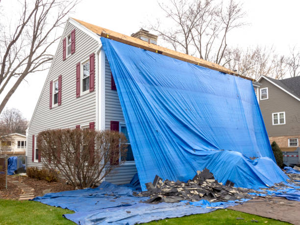 Best Custom Siding Design  in Myersville, MD